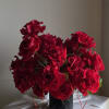 Delicate and full of love! 
Roses and bows speak the sweetest language