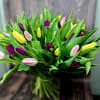 A bouquet 45 of tulips is a vibrant and spring-like decoration that