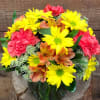This brightly colored assortment of long lasting flowers is sure to bring