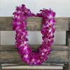 Celebrate your graduate in style with our fresh orchid leis, available in