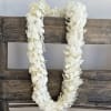 Celebrate your graduate in style with our fresh orchid leis, available in