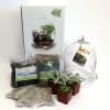 For the urban botanist (aka apartment gardener) this is the perfect gift.