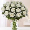 A dozen white roses are a classic gift! Perfect for any expression