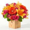 As glamorous and colorful as a seasonal soiree, these blooms bring positive