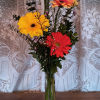 Sending this bouquet just might be your brightest idea yet! Gerberas are