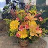 A treasured greeting for any occasion, our fiery collection of snapdragons, Gerbera