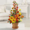 A treasured greeting for any occasion, our fiery collection of snapdragons, Gerbera