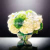 Orchids and hydrangea come together for this bubble of blooms. Send it