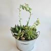 Fun, low maintenance and long lasting! 