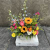 Summer season is here so it&#039;s time for those sunny sunflowers, mixed