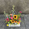 Summer season is here so it&#039;s time for those sunny sunflowers, mixed