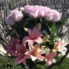 Speak what&#039;s in your heart by sending this lovely 24 roses elegantly