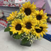 PERFECT FOR THE SUNFLOWER LOVERS
