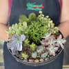 An exquisite variety of succulents delicately planted with a touch of love