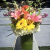 Send your loved one a surprise today with these colorful and bright