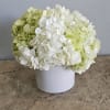A large centerpiece arranged with fluffy white and green( mojito ) hydrangeas