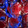 Celebrate with a stunning patriotic rose bouquet from Floral Concepts. Featuring red