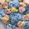 A dreamy combination of pastel pink eustomas and cloud-like blue hydrangeas, Cotton