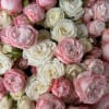 A bouquet everyone will love! This lavish armful of spray garden roses