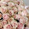 A mono-bouquet of premium Pink Mondiale roses, known for their unique gradient