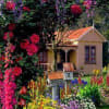 We will custom Design an amazing  floral arrangement that fits your