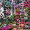 We will custom Design an amazing  floral arrangement that fits your