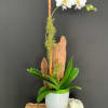 Each design celebrates our loved ones, the special moments in our lives