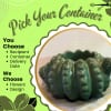 Pick your container and let our designer create a custom arrangement specifically