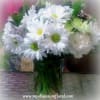 White daisies and white carnations arranged compact for clean pure look.