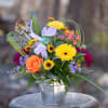 Playful and wild gerbera daisy blooms dance with a colorful hummingbird to