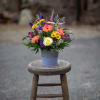 Playful and wild gerbera daisy blooms dance with a colorful hummingbird to