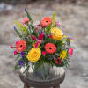 Playful and wild gerbera daisy blooms dance with a colorful hummingbird to