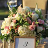 Perfect for an indoor or outdoor wedding. Combination of pink and white