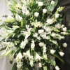 To honor the purity and hope of a loved one. 

Key notes