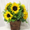 A lively bunch of sunshine and pep in a picturesque planter.

Key notes