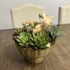 Potted assorted succulents, decorated with driftwood