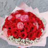 Beautiful bouquet created with 50 fresh roses in Pink and red tones.