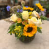 This one pops with colorful bursts of yellow.