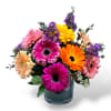 This beautiful arrangement has mixed colorful gerberas, monte casino, and greens.