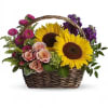 Life will be a picnic for whoever&#039;s lucky enough to receive this