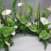 Please allow 5&ndash;7 business days for all sympathy arrangements to ensure they