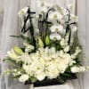 A breathtaking blend of timeless beauty and refined elegance, Eternal Grace is