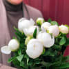 These white peonies are pure elegance. Big, fluffy petals and fresh green