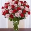 12 Red and Pink Roses long stem arranged in a vase