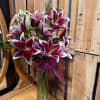 The Stargazer lily. Beautiful statement of just those arranged in a vase.