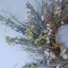 Grassy and whimsical California meadow wreath. Great for your door or wall!