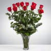 Beautiful 12 long-stemmed red roses.