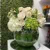 Hydrangeas and Roses Arrangement: FishBowl vase arrangement accented with hydrangeas, greens, and