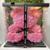 Rose Teddy Bear 40cm With Gift Box   | an amazing