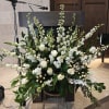 Pure white flowers and lush foliage in a paper mache pot. This